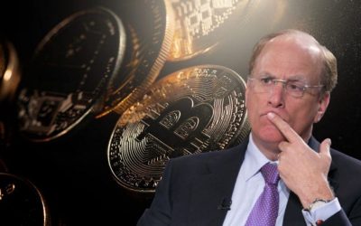 BlackRock CEO’sundan Bitcoin İçin Çarpıcı Tahmin: 700 Bin Dolar!