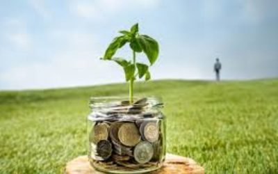 Emeklilik Yatırımları: 2025’te Yüksek Getiri Sağlayan Yollar