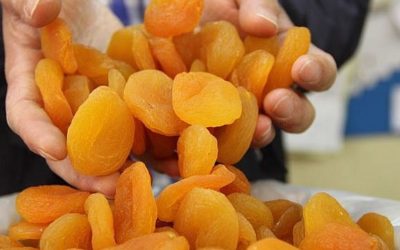 Malatya’nın Kuru Kayısısı İhracatta Zirvede: 2024’te 410 Milyon Dolar Gelir
