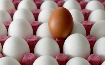 Migros’ta 30’lu Yumurta Fiyatı ve Kampanya Detayları