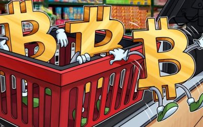 Bitcoin ile Online Alışveriş Yapmanın Yolları Nelerdir?
