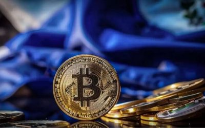 El Salvador: Bitcoin Alımları Şaşırtıcı Derecede Yüksek