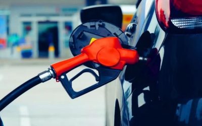 Zeytin Çekirdeklerinden Benzine Yüzde 70 Daha Ucuz Alternatif: Türkiye Bu Adımı Atabilir Mi?