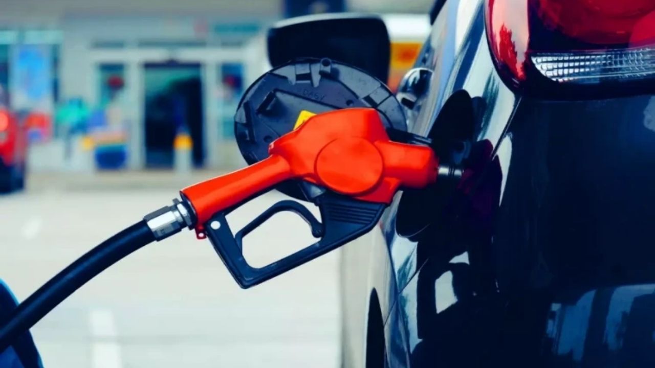 Zeytin Çekirdeklerinden Benzine Yüzde 70 Daha Ucuz Alternatif Türkiye Bu Adımı Atabilir Mi