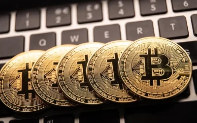 Kripto para piyasasında neden yükseliş var?
