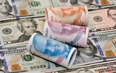 Fitch Ratings: Türkiye’deki döviz pozitifleri bankaları destekliyor