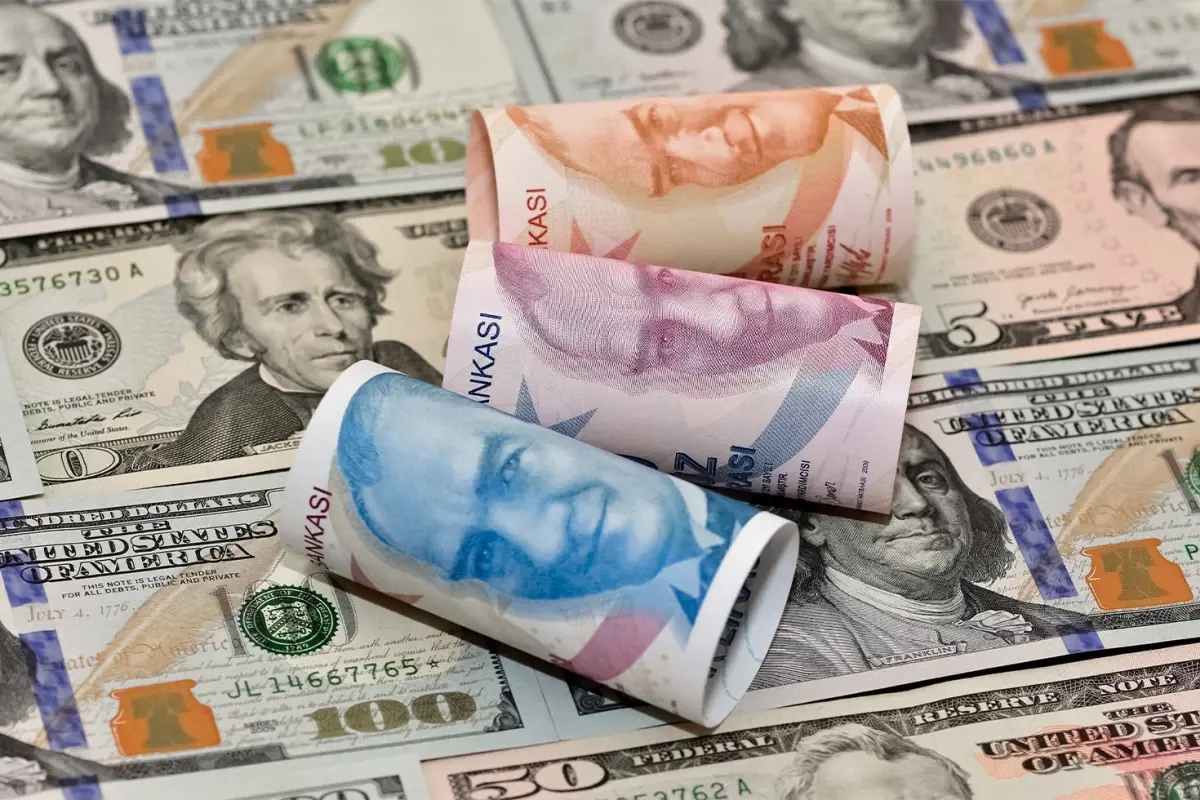 fitch-ratings-turkiye-nin-doviz-pozisyonlarinin-18387761_3163_amp.jpg