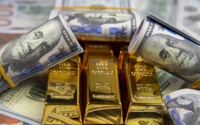 Merkez Bankası Rezervleri Tarihi Zirveyi Gördü