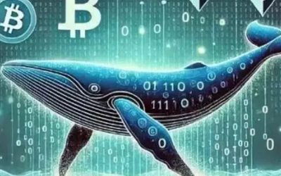 Mart 2025’in ilk haftasında balinalar hangi kripto paraları aldı?