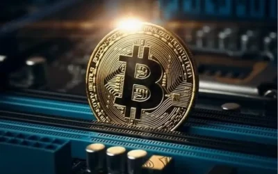 Kripto panik satışı: Yatırımcılar için strateji önerileri