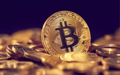 Hindistan’da Dev Kripto Şirketi Yeniden Varlık Gösteriyor