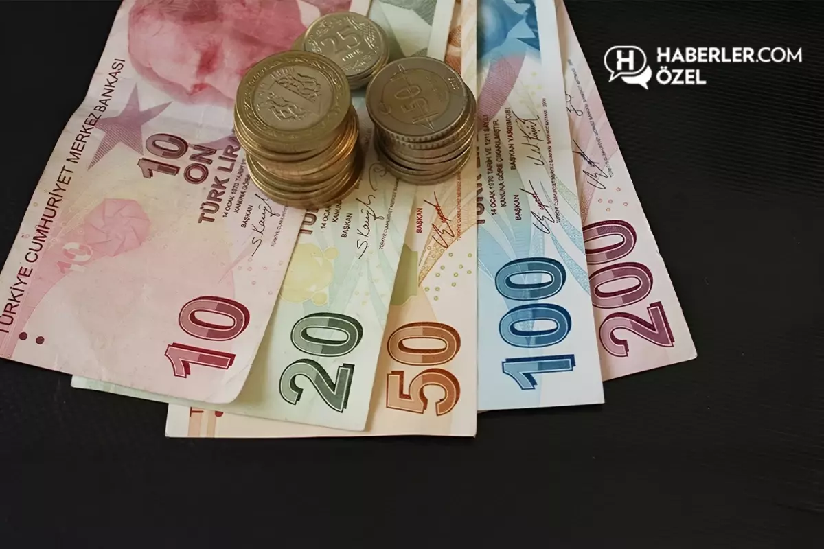 merkez-bankasi-3-kripto-para-ve-odeme-sirketinin-18457591_406_amp.jpg