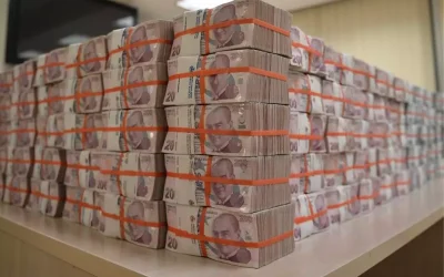 OECD Türkiye ekonomisi için endişe verici tahminler yayınladı