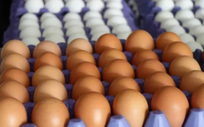 ABD’deki gelişmeler zincir marketlerde yumurta fiyatlarını etkiledi
