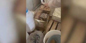 Konya’da 50 Ton Sağlıksız Eritme Peyniri İmha Edildi