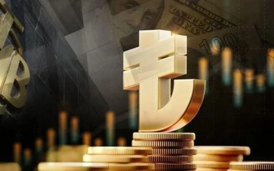 Kredi Faizleri Yükseldi: Şirketler İçin Gerçek Maliyetler ve Çözüm Yolları