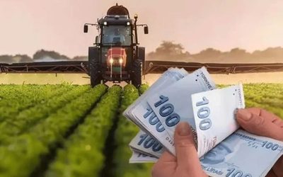 Tarımsal Destek Ödemeleri Başladı: 5,9 Milyar TL Çiftçilerin Hesaplarına Aktarılıyor