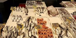 Trabzon’da Mezgit ve İstavrit 250 TL’ye Satılıyor, Alabalık ve Somon Fiyatı Düşük
