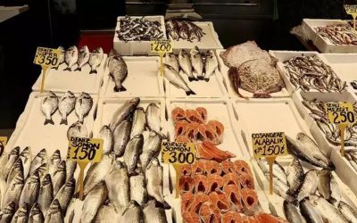 Trabzon’da Mezgit ve İstavrit 250 TL’ye Satılıyor, Alabalık ve Somon Fiyatı Düşük