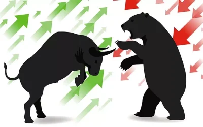 Boğa ve Ayı Piyasalarının Bitcoin ve Kripto Paralara Etkisi