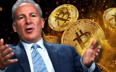 Ekonomist BTC fiyat artışını açıkladı
