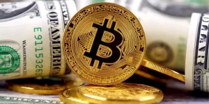 Bitcoin işlem ücretleri 2025’te zirve yaptı