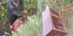 20 yaşındaki gençler, yaşlı adamın altın dolu kasasını çaldı!