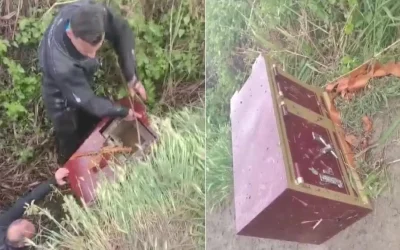 20 yaşındaki gençler, yaşlı adamın altın dolu kasasını çaldı!