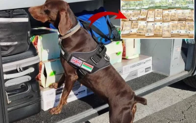 Tıra saklanan 15 milyon lira dedektör köpek tarafından bulundu