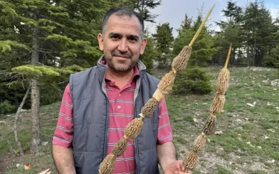 Tutkulu Toplayıcı: 900 Liraya Altın Buldu!