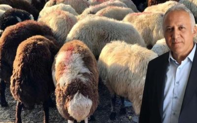 Kurbanlık Alacaklar Dikkat! Ayıplı Hayvan İçin Tazminat Hakkınız Var