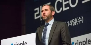 Ripple CEO’su Circle Satın Alımı için Kararını Verdi