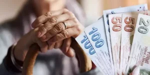 SGK Başuzmanı Karakaş: En düşük emekli maaşı ne kadar olacak?