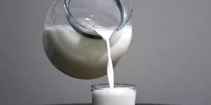 Süt şirketlerine 58,3 milyon TL ceza verildi