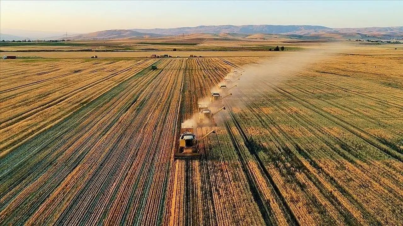 _Çiftçilere Sertifikalı Tohum Desteği Başvurular 31 Temmuz'a Kadar