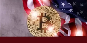 ABD’de Bitcoin ETF’leri 17 gün içinde sadece bir kez yükseldi