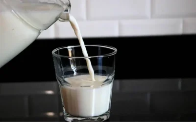 2025’te çiğ süt litre fiyatı ne olacak?
