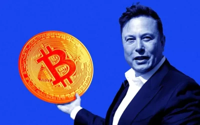 Elon Musk’ın yeni partisi Bitcoin’e tam destek veriyor
