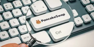 SPK dev kripto borsasına erişimi engelledi