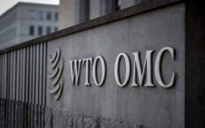 DTÖ’den Kadın Girişimcilere 50 Milyon Dolarlık Dijital Ekonomi Destek Fonu