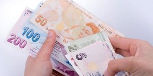 T.C. ile Ödeme ve Yardım Sorgulama Adımları