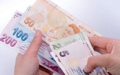 T.C. ile Ödeme ve Yardım Sorgulama Adımları