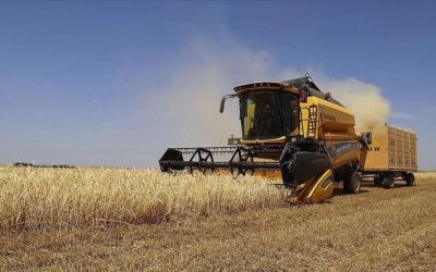 Tarımsal Girdi Fiyatları Yıllık %33,88 Artış Gösterdi