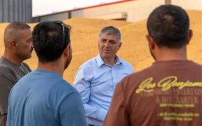 Adana’da 855 Bin Dekar Mısır Ekiminden 1.135 Ton Verim Öngörülüyor.