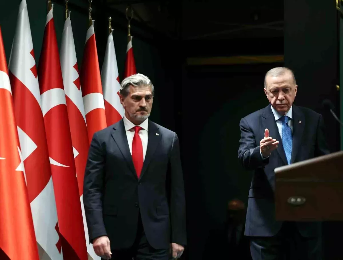 cumhurbaskani-erdogan-gurcistan-ile-yeni-tica-18940806_amp.jpg
