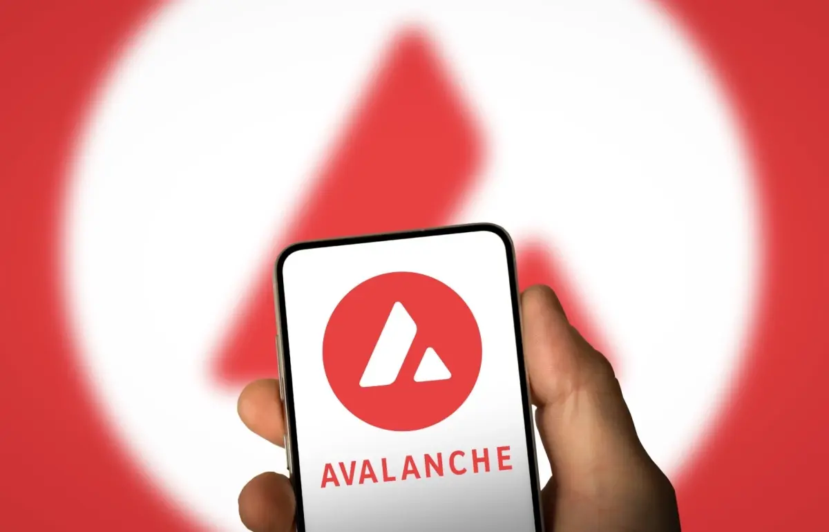 grayscale-avalanche-avax-etf-si-icin-sec-onayi-18980820_4291_amp.jpg