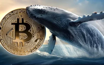 Kripto Piyasasında Balina Satışları: Bitcoin Vuruldu
