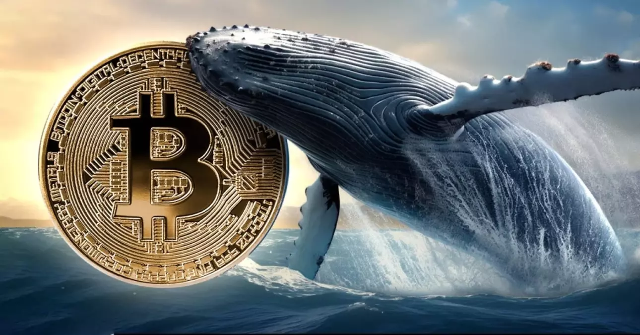 kripto-piyasasinda-balina-satislari-bitcoin-i-18980324_2547_amp.jpg