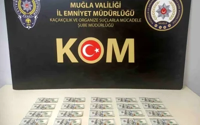 Muğla’da Sahte Dolar Sürme Suçundan Yakalanan Şüpheli