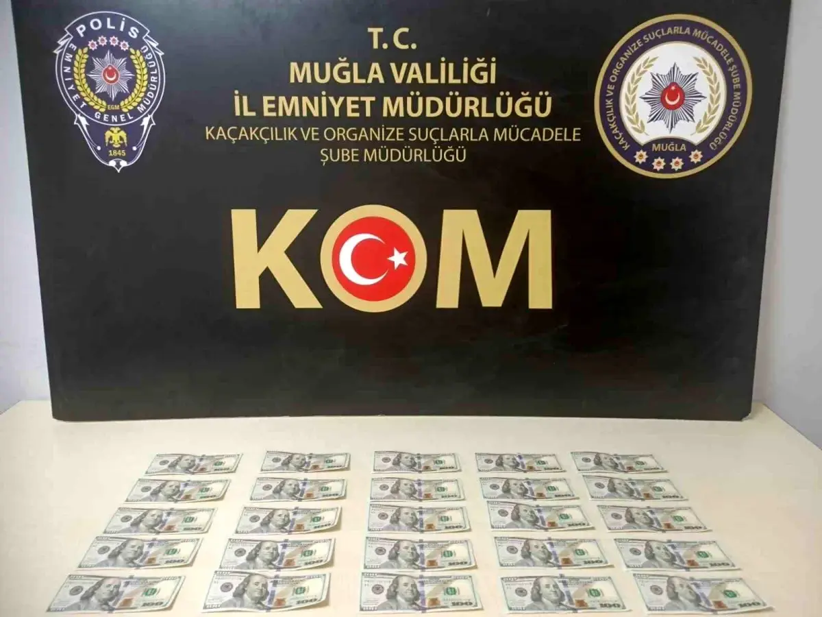 mugla-da-sahte-dolar-operasyonu-18995486_amp.jpg